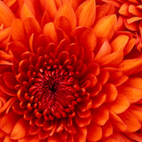 José Luis Vázquez Arias