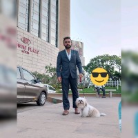 Saurabh Sunny