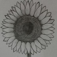 孙芳芳