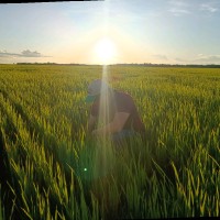 Diego Alejandro Alba Quijano