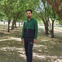 Vahid Bagheri