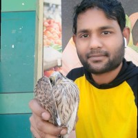 Sk Rizwan Ali
