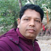 Bhishma Roy