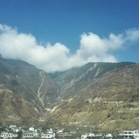 李婷儿