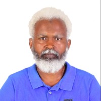 Mohammed Kamaleldin Abdelhafeez Hamza
