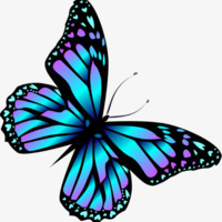 macry diez rodriguez