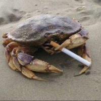 程佳琦
