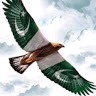 Zille Farooq