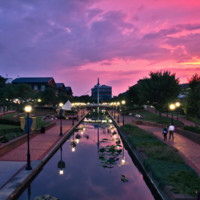 Doug Via