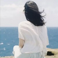 宋树慧