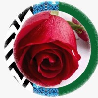 Bilal Habib
