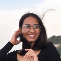 Nikita Birua