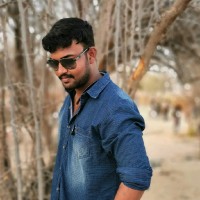Pattu Raja