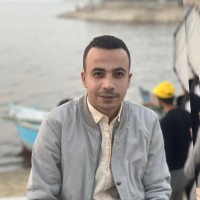 Mohamed Mohsen Wahba