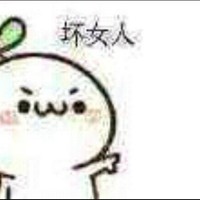 聂园园