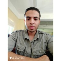 Mohamed Abd Almonem
