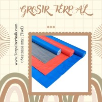 Distributor Terpal
