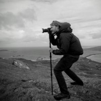 Ross Colliar