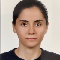 Selin Erkılıç