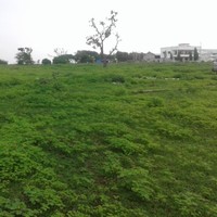 Shree Kawde