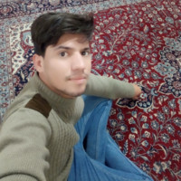 Ramin P