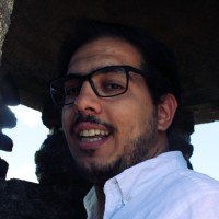 João Martins Lopes