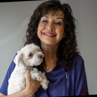 Rhonda Hiebert