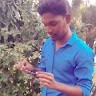 Aditya Bhandare