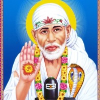 Dharmesh Monpara