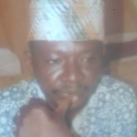 nidon dauda