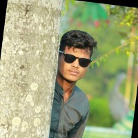 Nitai Ray