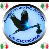 Michele Angelo Cicogna