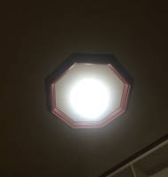 N P