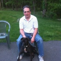 stephen schipani