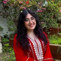 Arshmeena Aamir