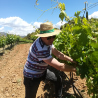 Miguel. Pozo