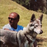 Aldo Cosimi