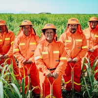 Coazucar Del Perú S.A.