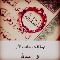 Nabil Nabil
