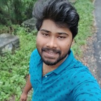 Karthikeyan V