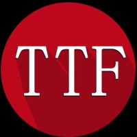 The Trendy Feed