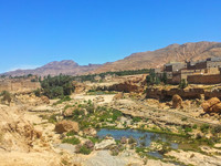 فاعل خير