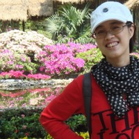 Lin Ping
