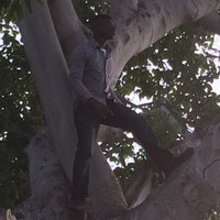 Trevon Stubbs