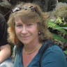 Judi Koch