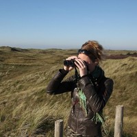 Dorien Hoogeboom