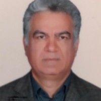 abbas shirzadian