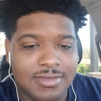 Stedman Haynes