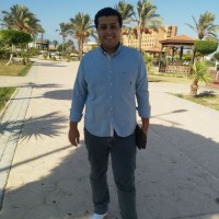 Amr Ali