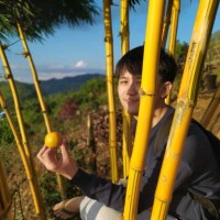 Sai Hart